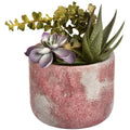 Terracotta Potted Succulent
