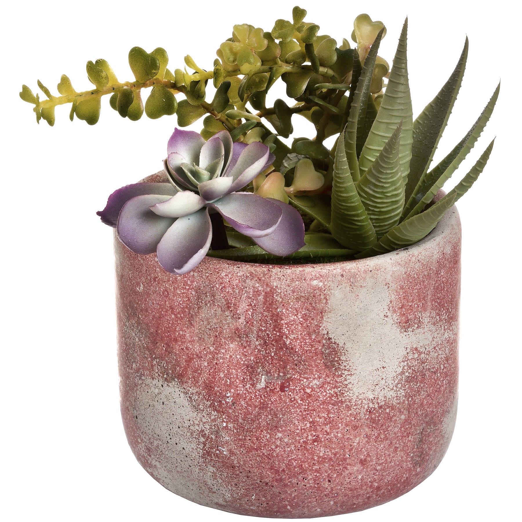 Terracotta Potted Succulent