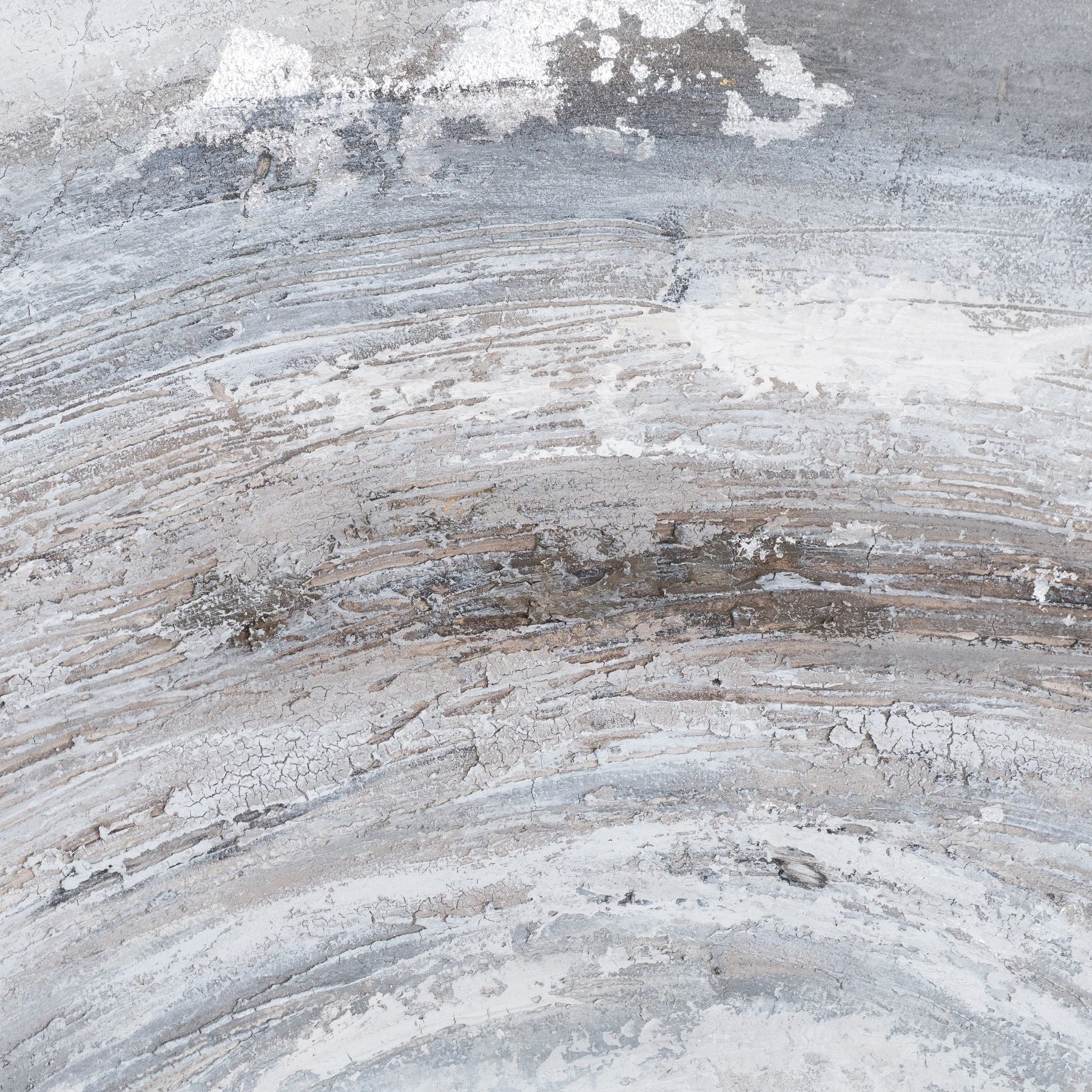 Orion Silver Painted Canvas