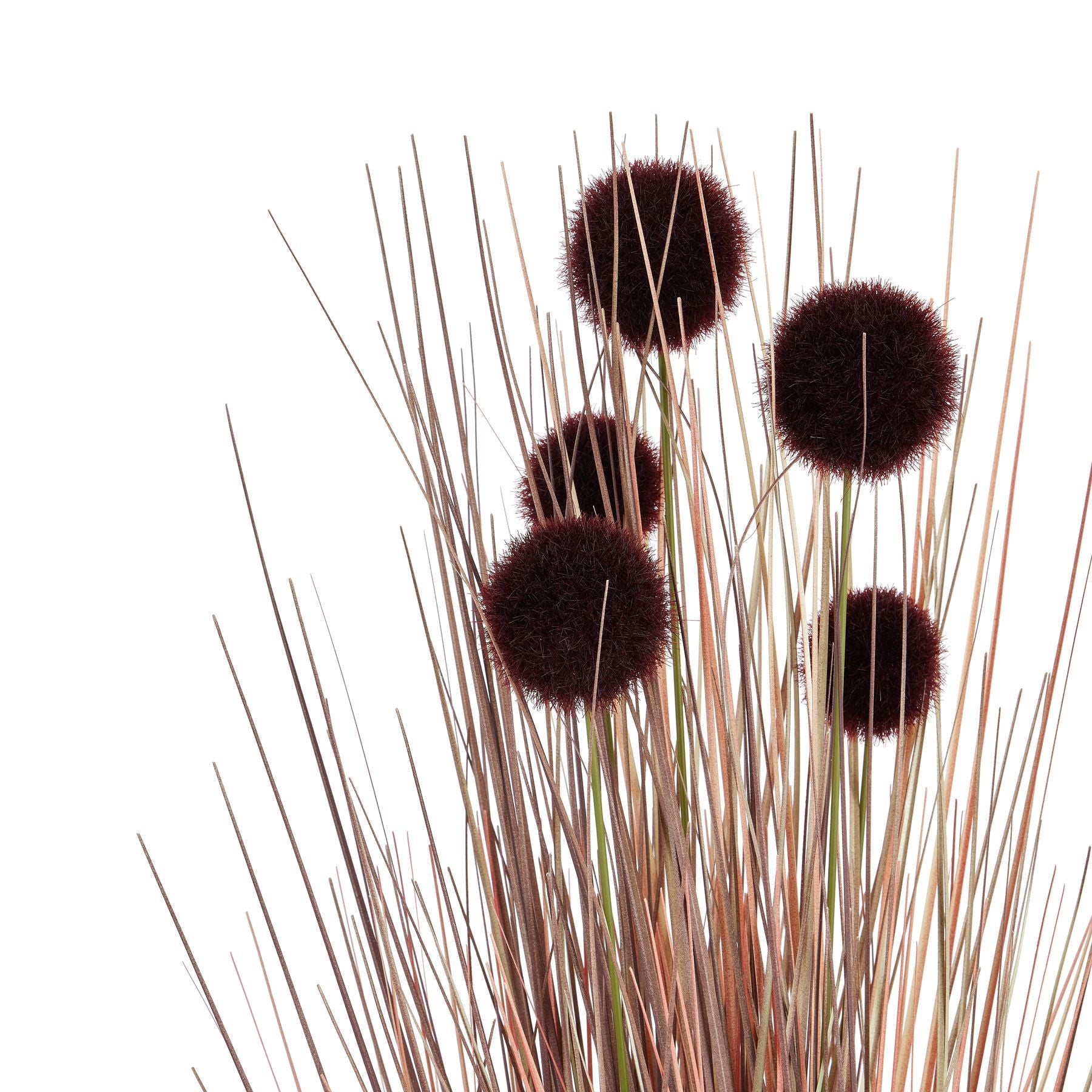 Pompom Alliums In Black Pot