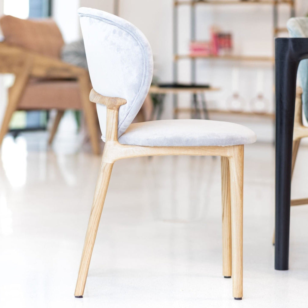 Hoya Chair