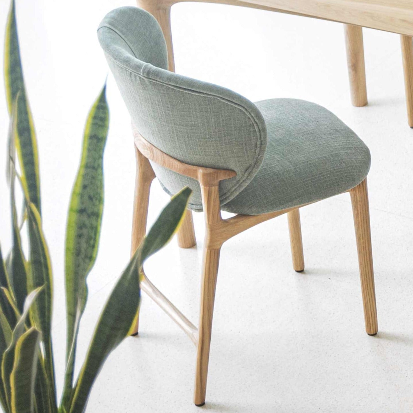 Hoya Chair